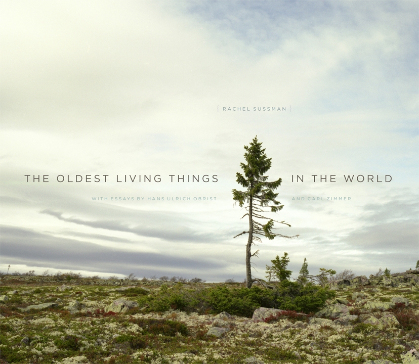 The Oldest Living Things In The World poster