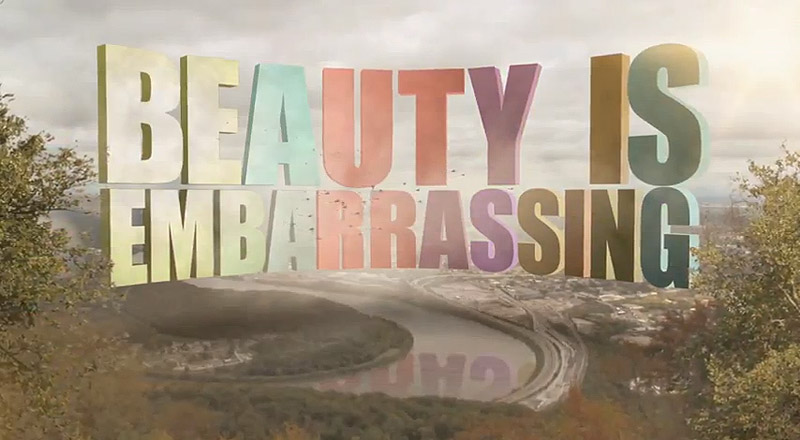 Beauty is Embarrassing Movie Logo