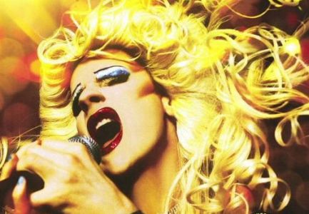 Hedwig Partial Poster