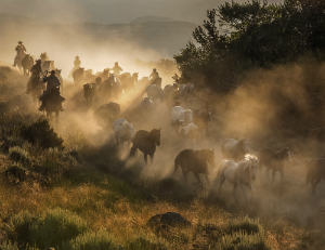 Image of cowboys riding horses in the wild by Jay Dickman