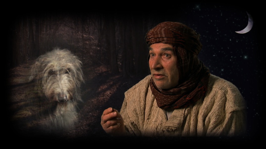Image of a Wolfhound-Gazelle and an old man