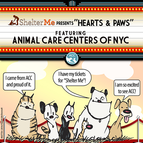 Shelter Me presents "Hearts & Paws" poster