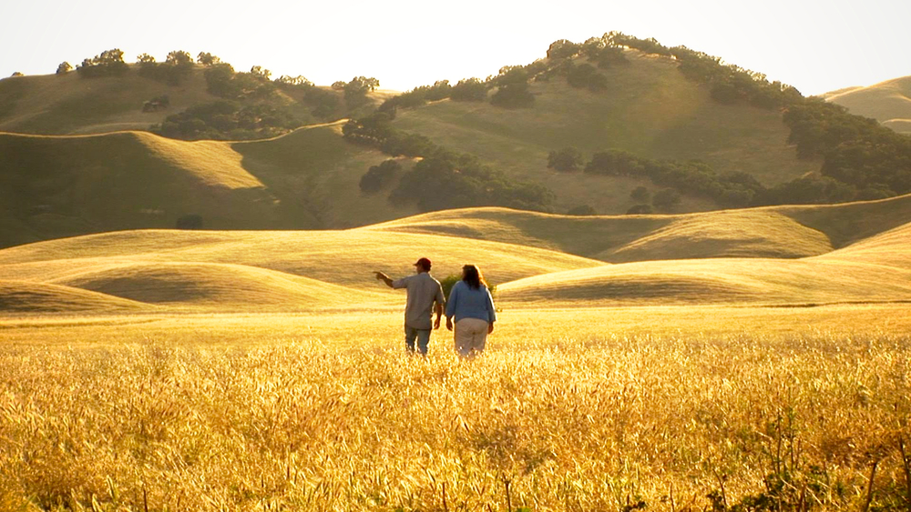 Image of two people walking in a field