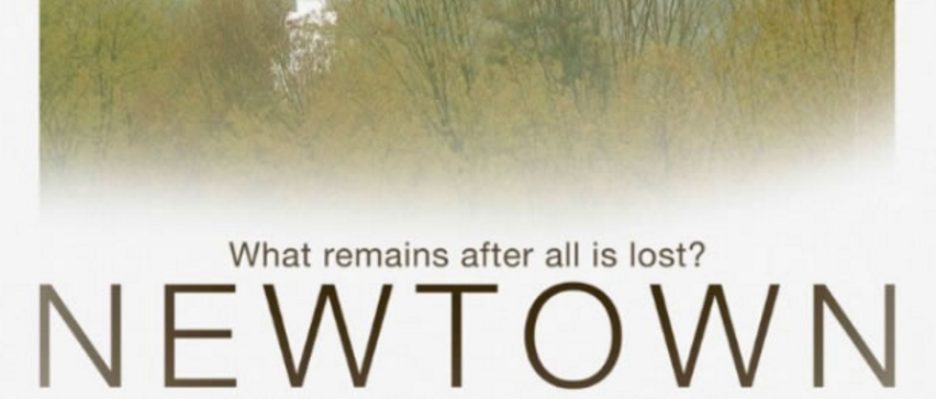 Documentary film poster for "Newtown"