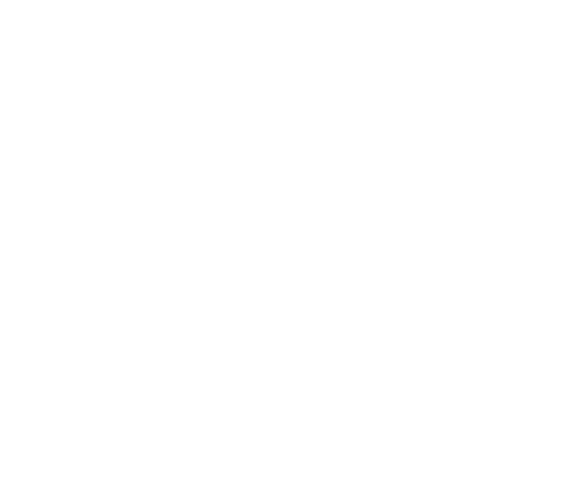 The Shine logo