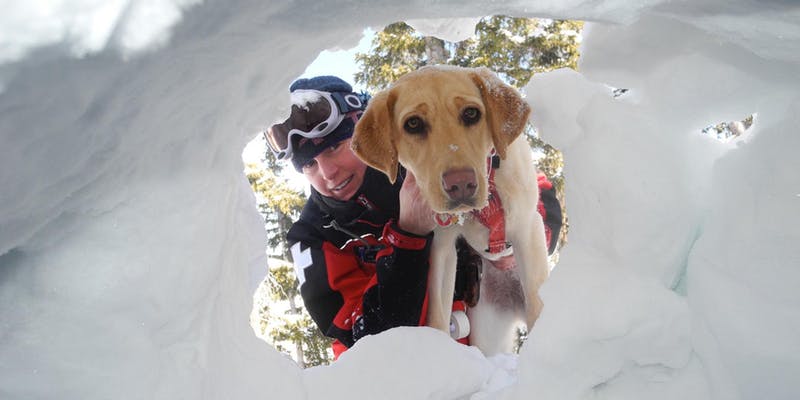 Dog and owner in ski gear peering into a snowy hole