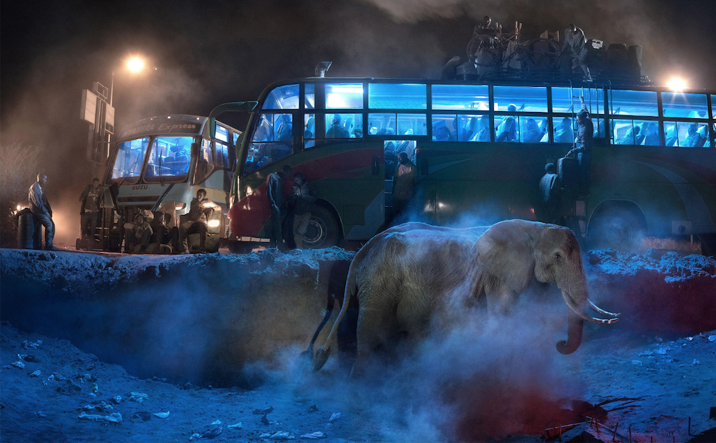In the foreground, a grey elephant wanders in the dust. In the background, two busses are stopped perpendicular to each other. Many are on the busses, some are outside.