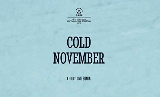 Cold November film poster