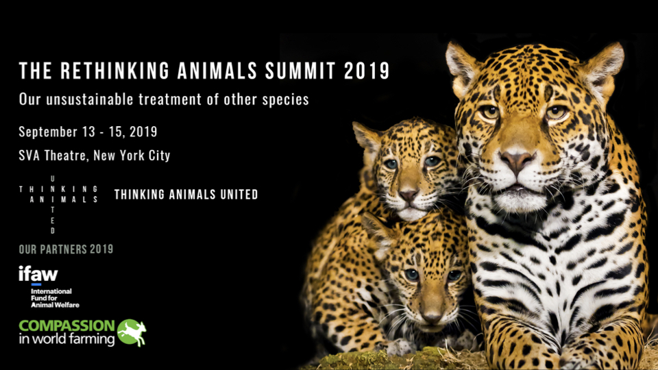 Rethinking Animals Summit poster