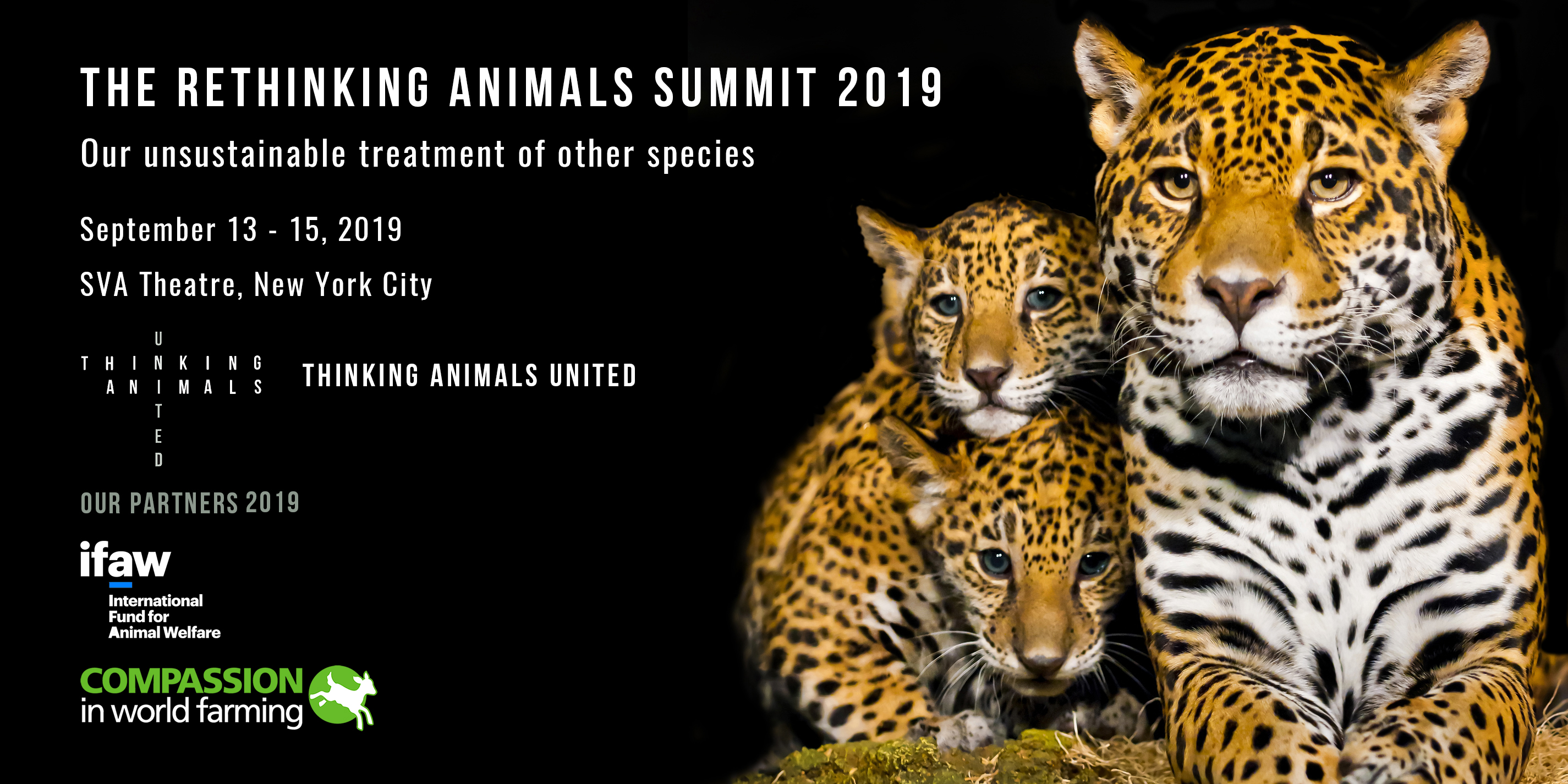 Rethinking Animals Summit poster