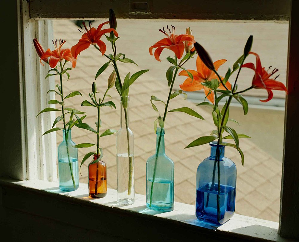 Single flowers in five bottle-vases on a windowsill