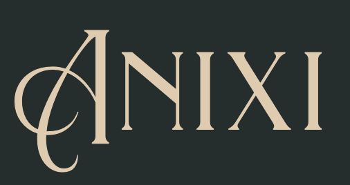 Anixi logo