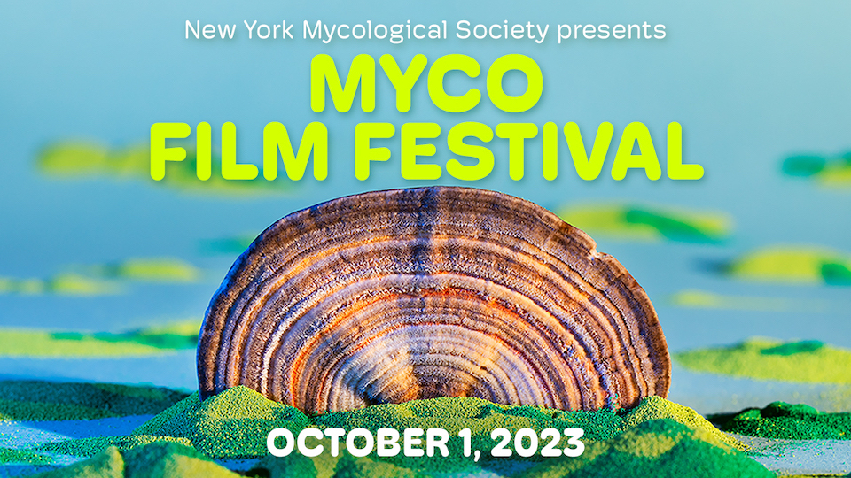 MYCO film festival poster