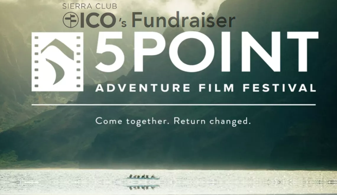 5point poster