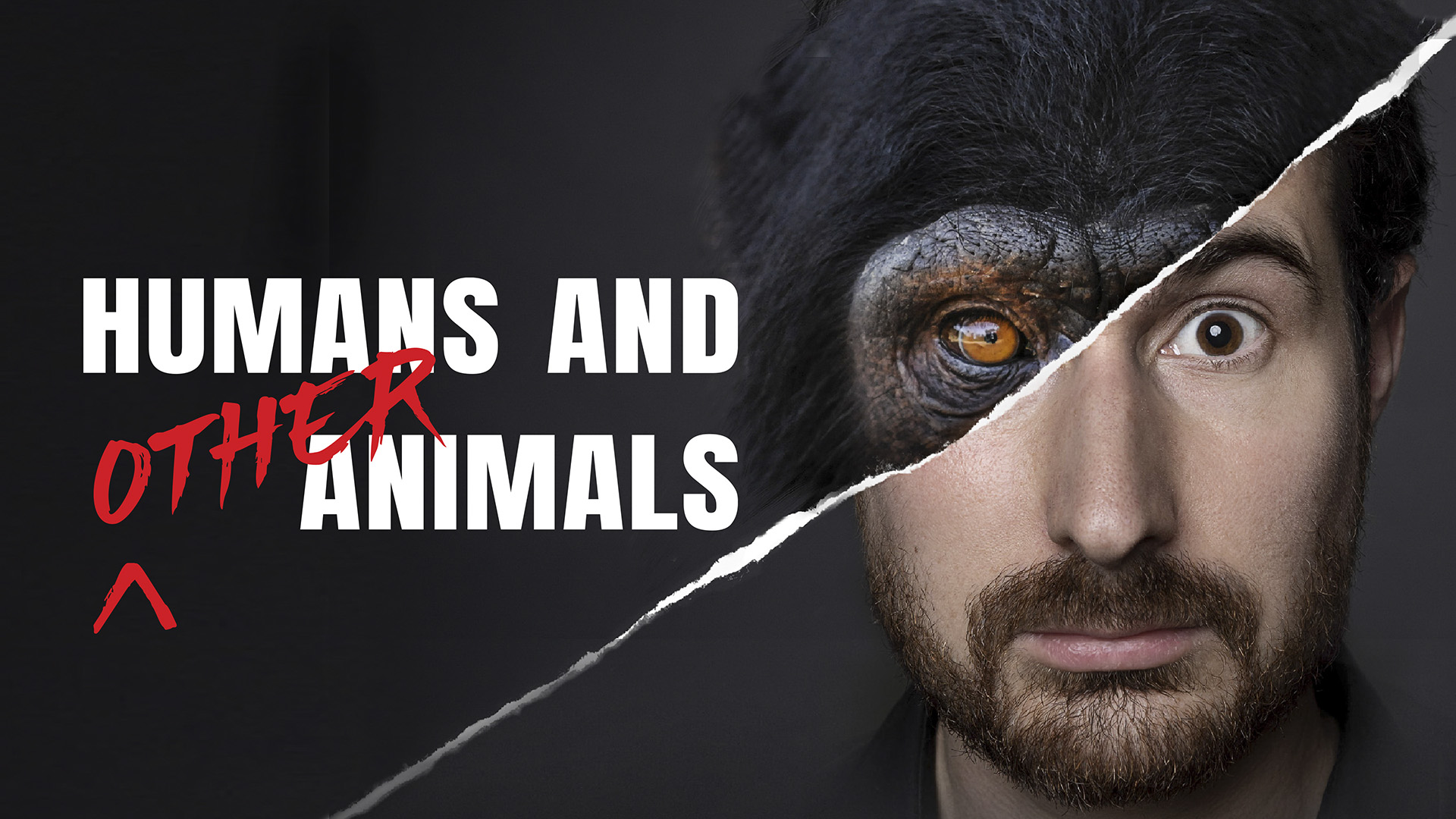 humans and other animals film poster