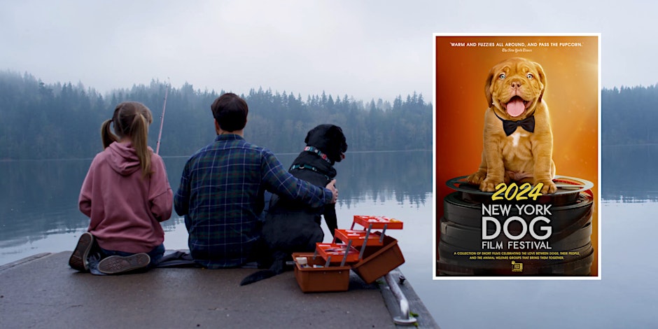 Dog film festival poster
