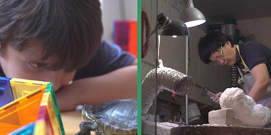Split image. Left side shows a young person looking closely at a turtle. The right side shows a man working in an industrial studio.