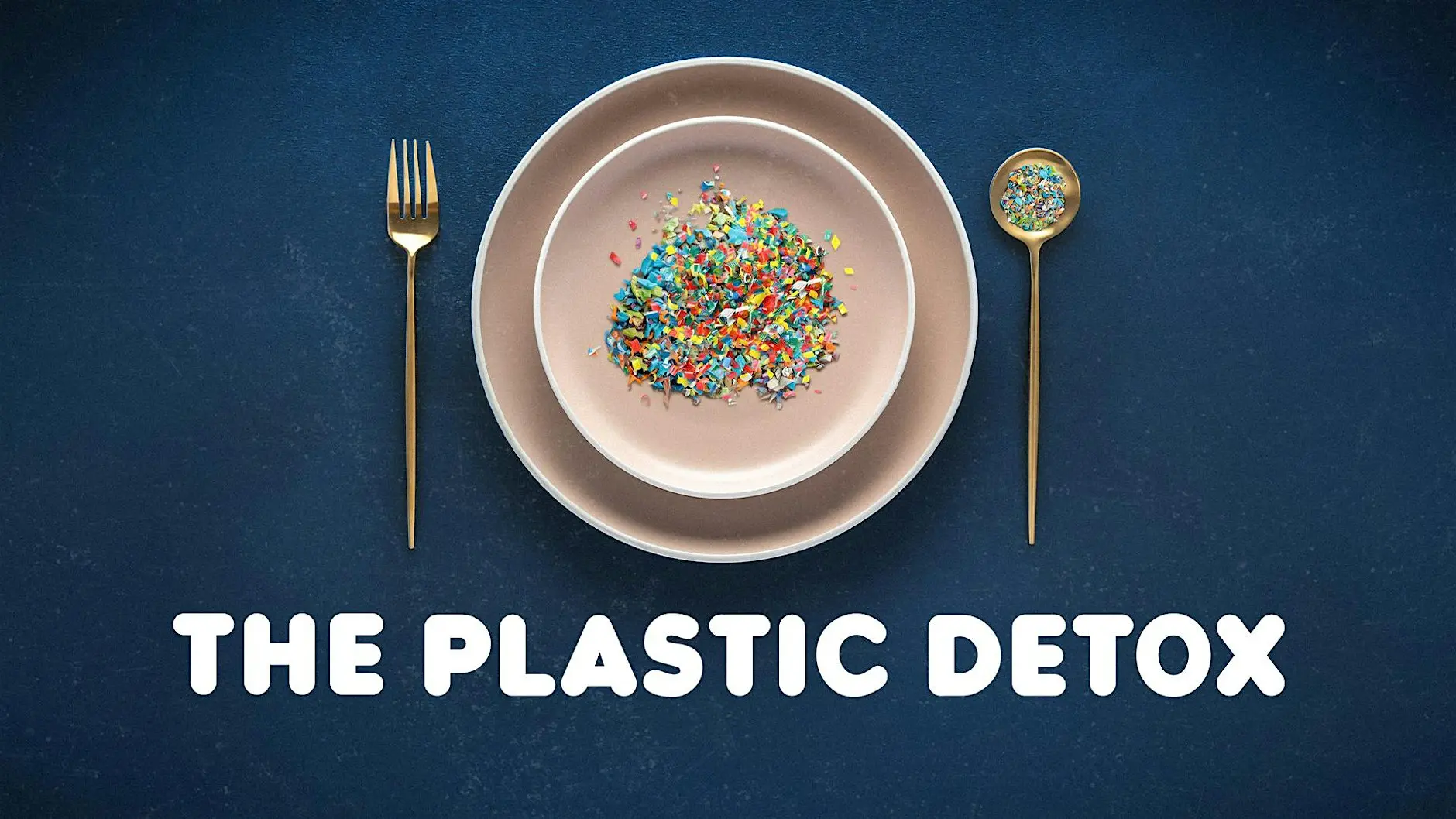 The plastic detox poster